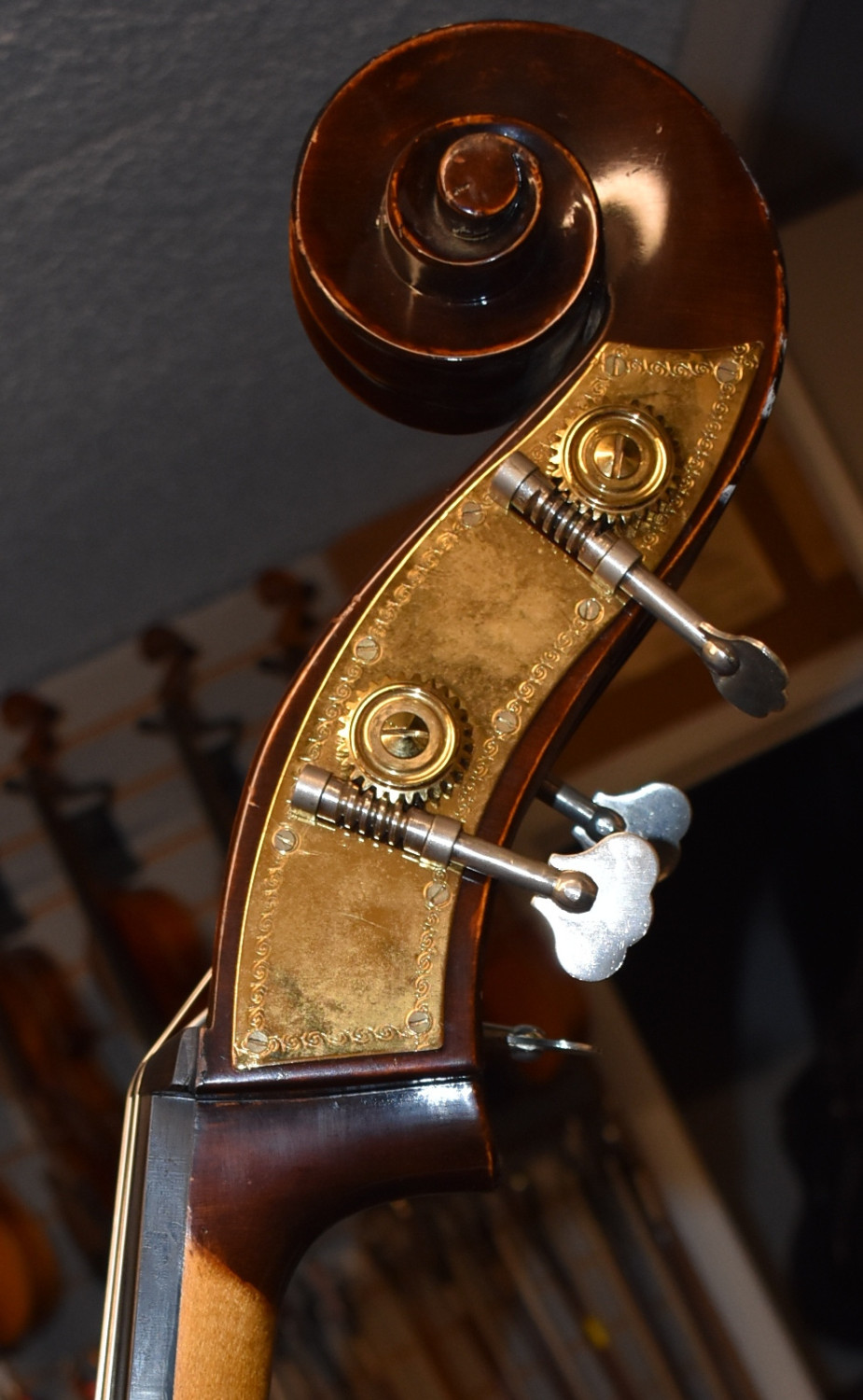3/4 and 1/2 Double Basses at our New Location