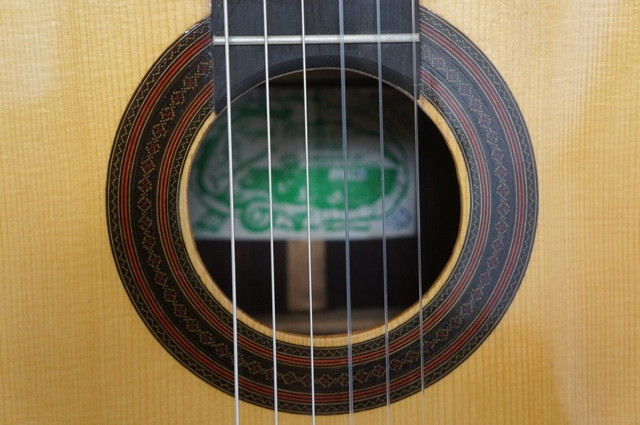 Miguel Company