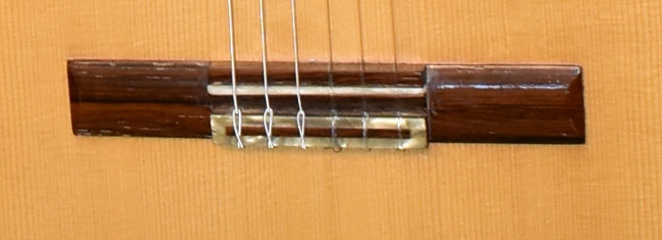 Miguel Company