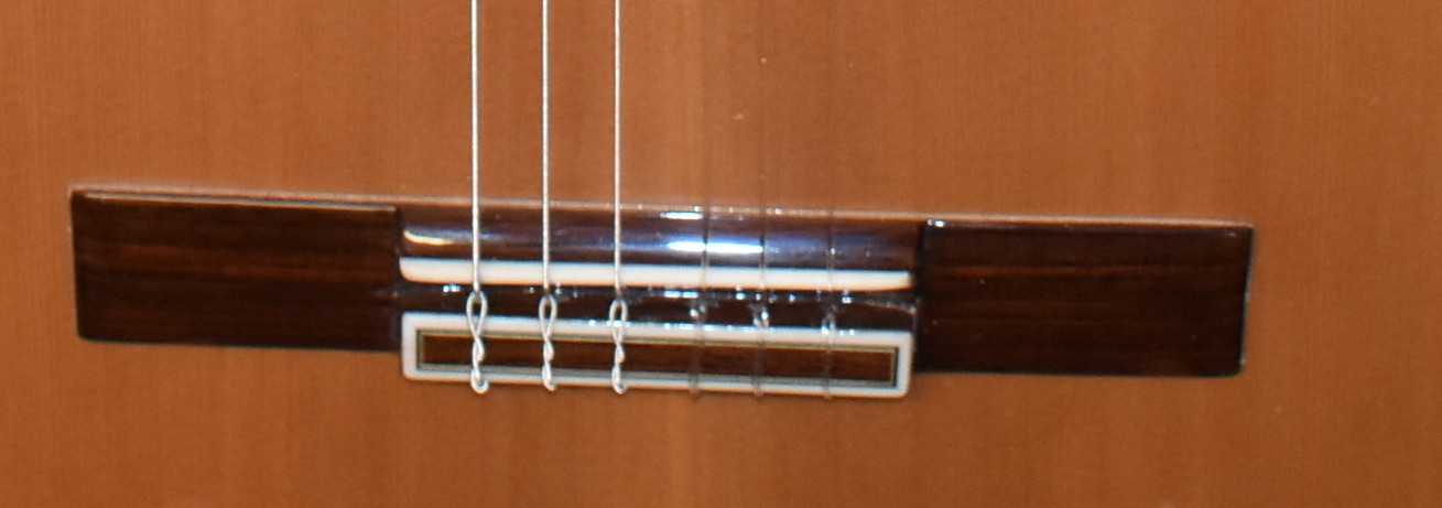 Luis Molina