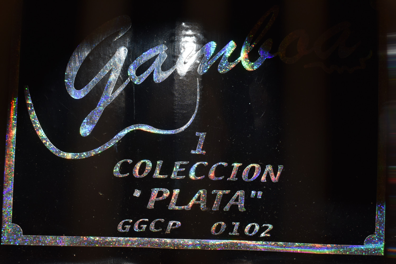 Rene Gamboa Soria 8 String Cutaway SOLD