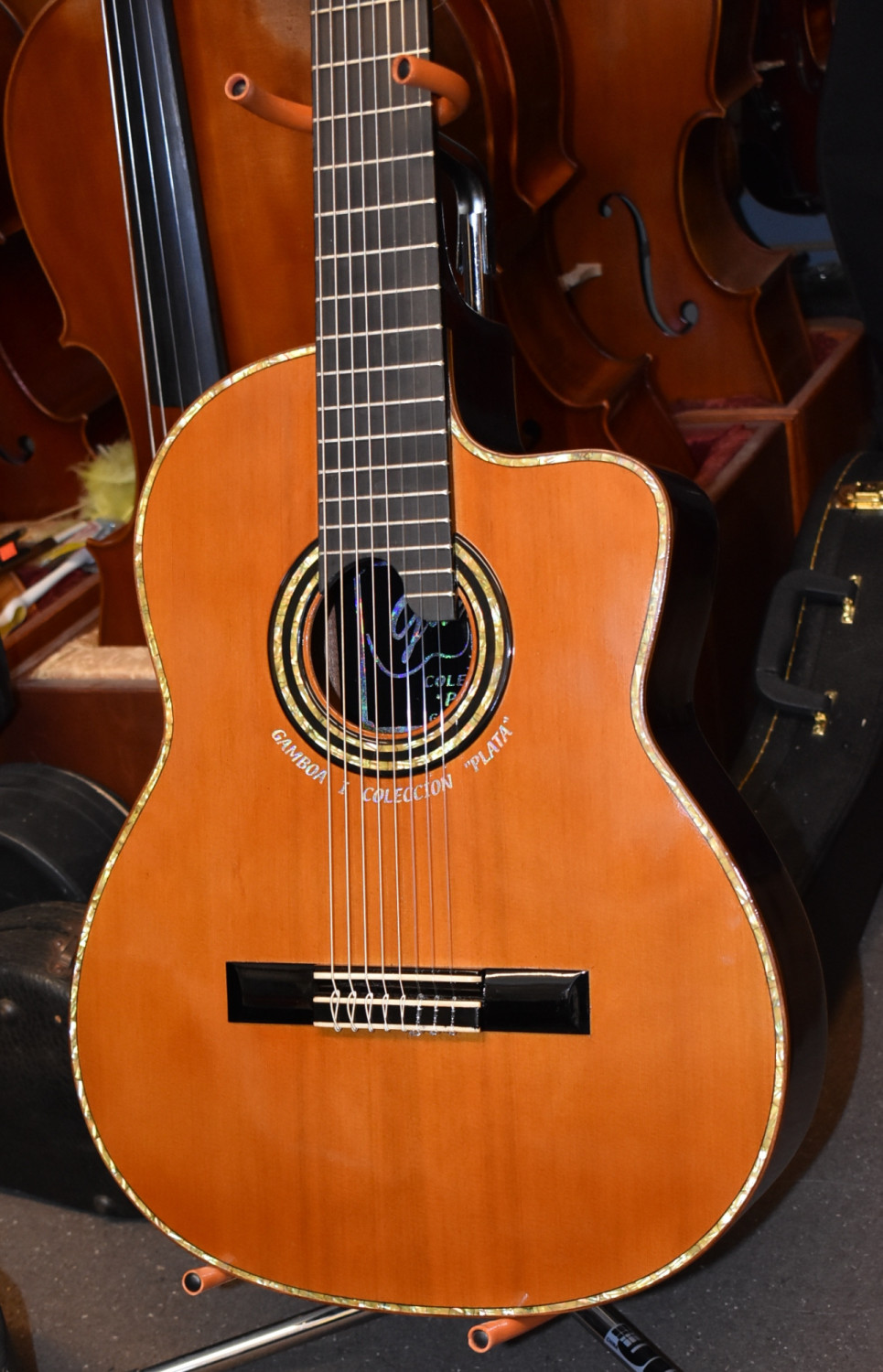 Rene Gamboa Soria 8 String Cutaway SOLD