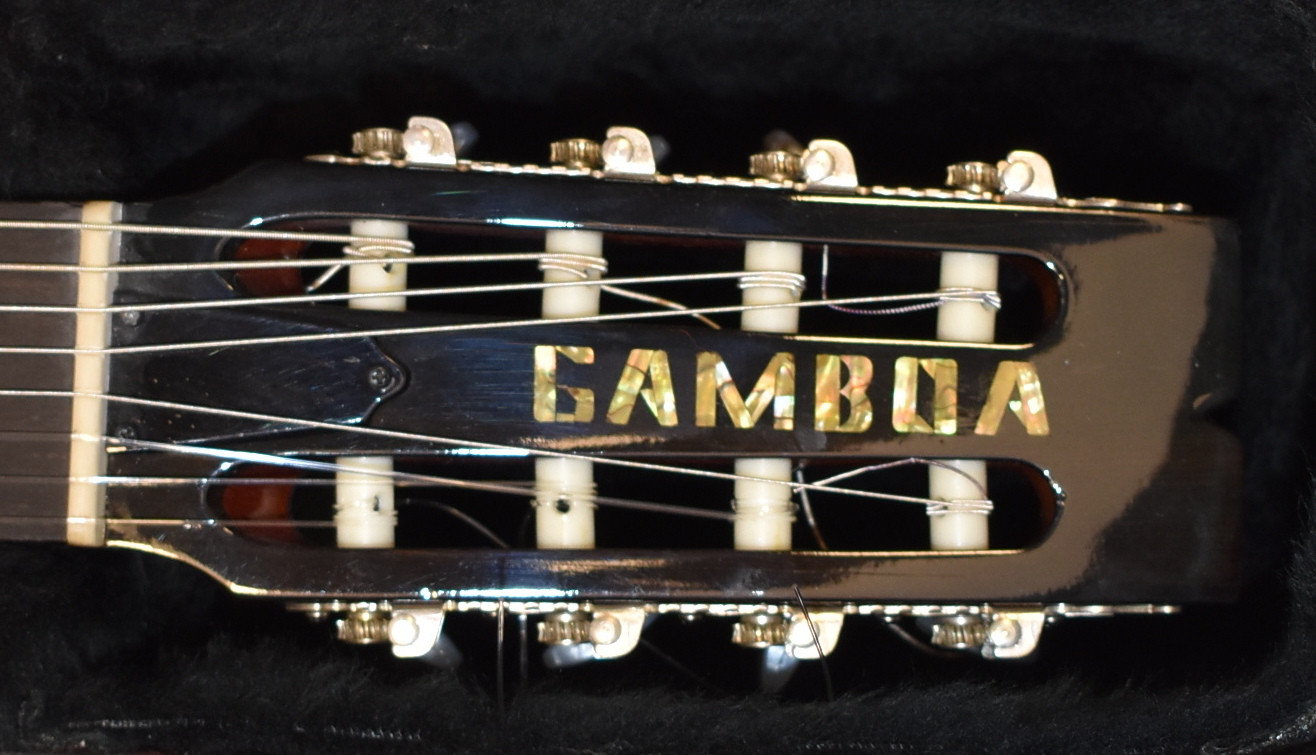 Rene Gamboa Soria 8 String Cutaway SOLD