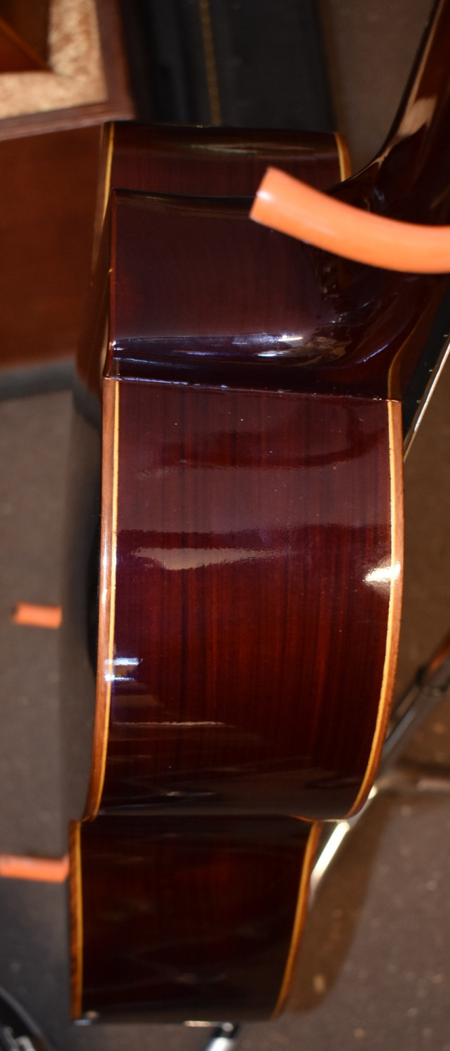 Rene Gamboa Soria 8 String Cutaway SOLD
