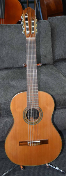 Giannini 7 string Classical Electric Guitar