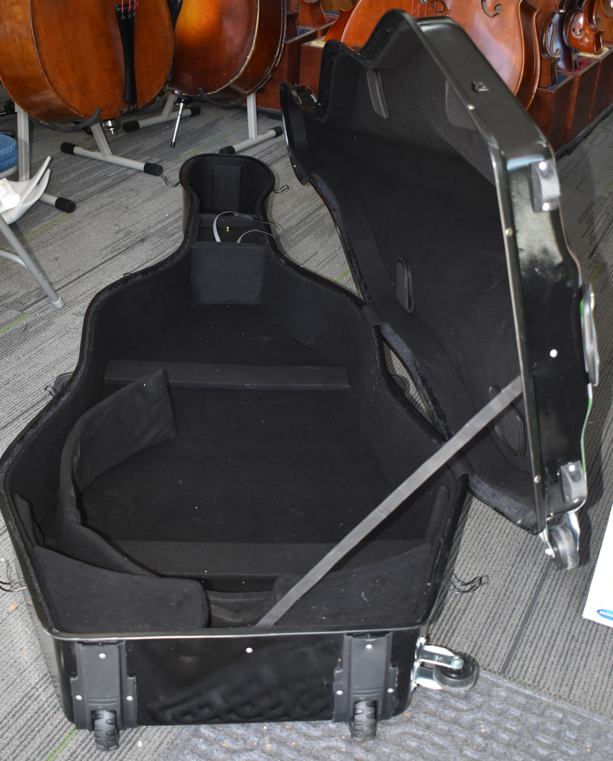 New Bass Case