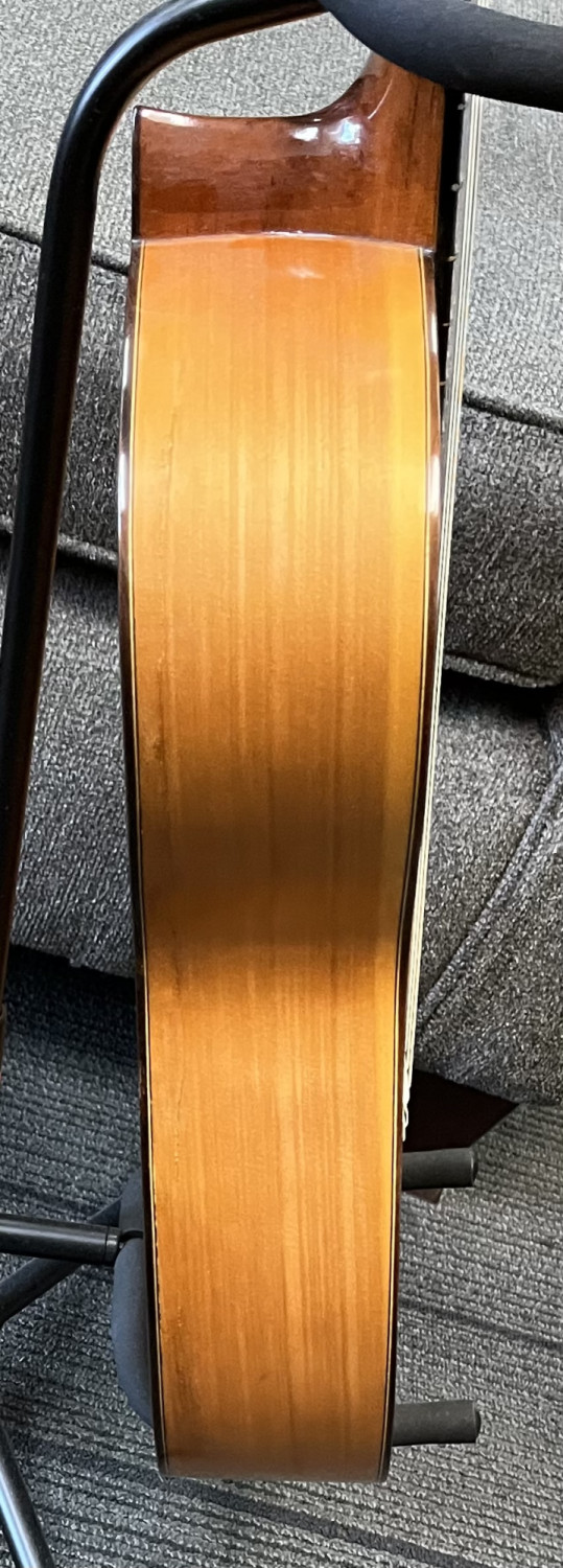 Luis Molina Flamenco Guitar