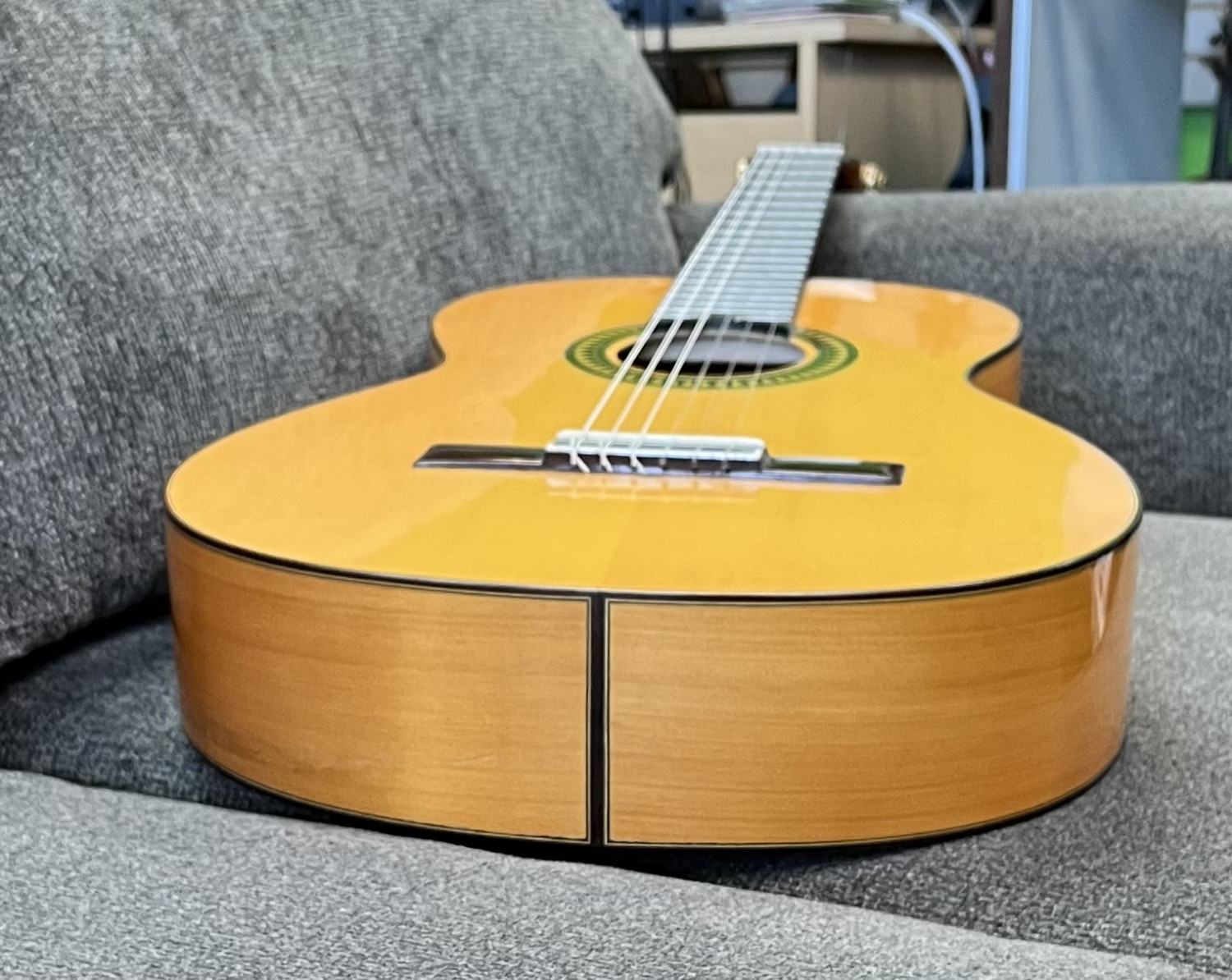 Luis Molina Flamenco Guitar