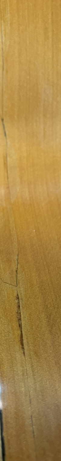 Luis Molina Flamenco Guitar