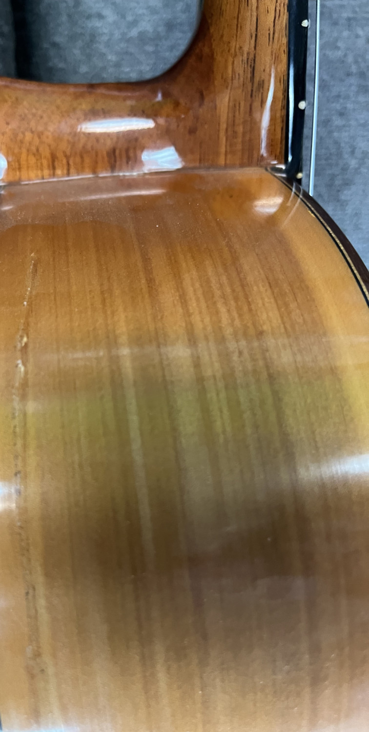 Luis Molina Flamenco Guitar