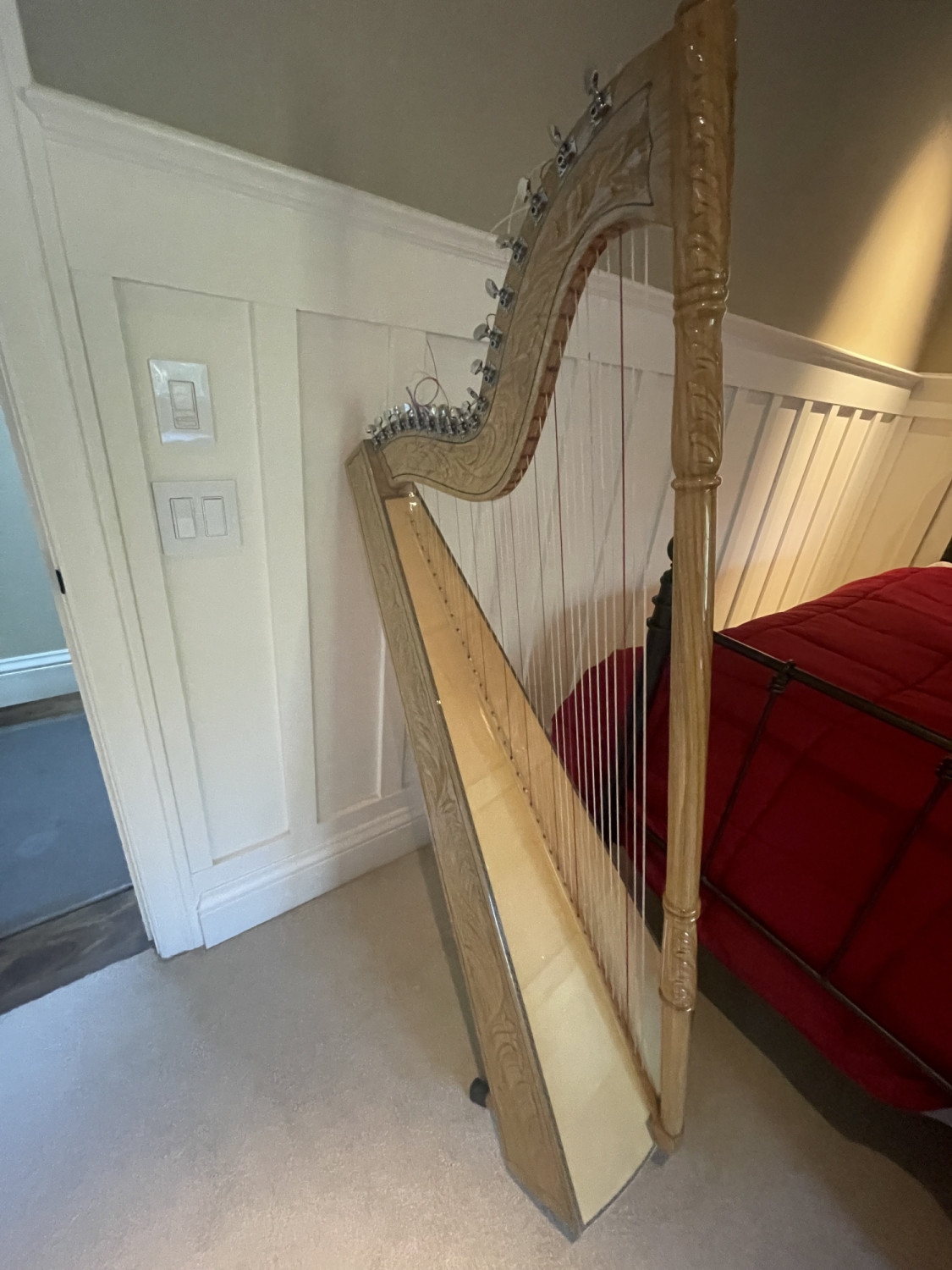 Paraguayan Harp with Case - One Owner
