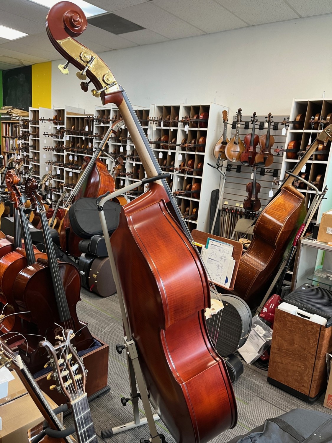 2023 Unlabelled Chinese Gamba